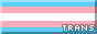 trans pride flag