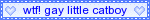 a blinkie that says wtf gay little catboy
