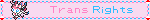 a blinkie that says trans rights