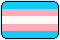 the trans flag